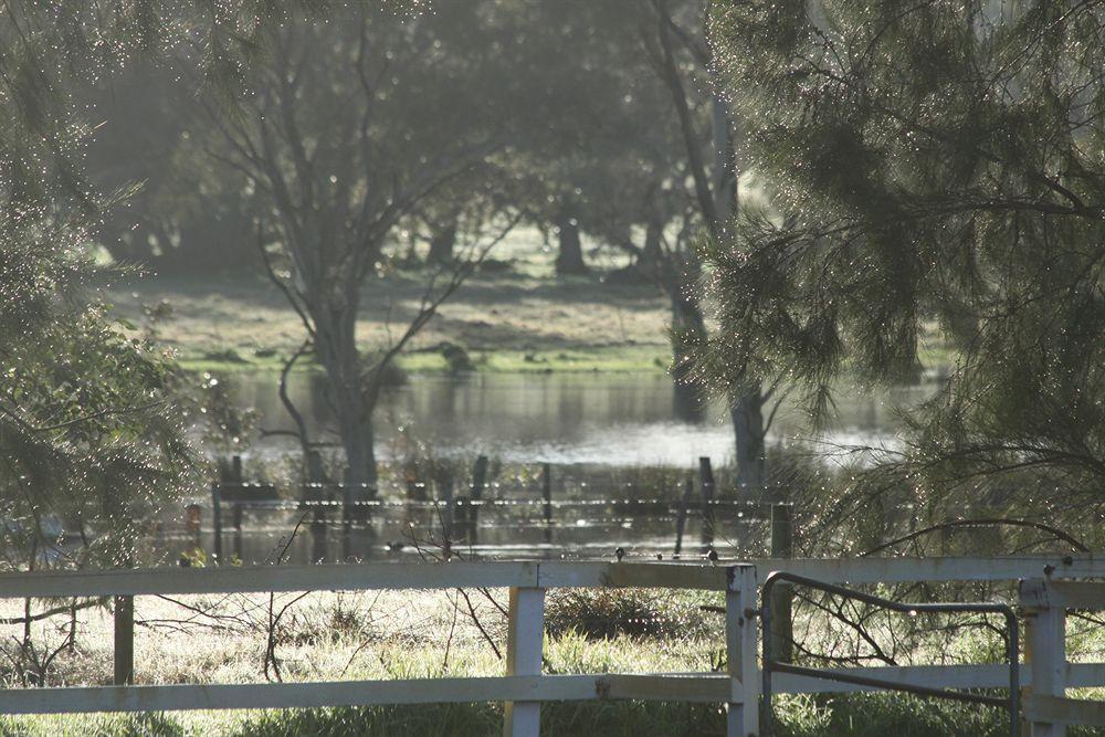 Coranda Lodge Armadale Bagian luar foto